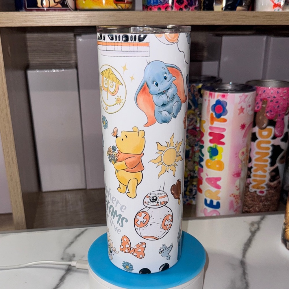 20oz Disneyland Tumbler